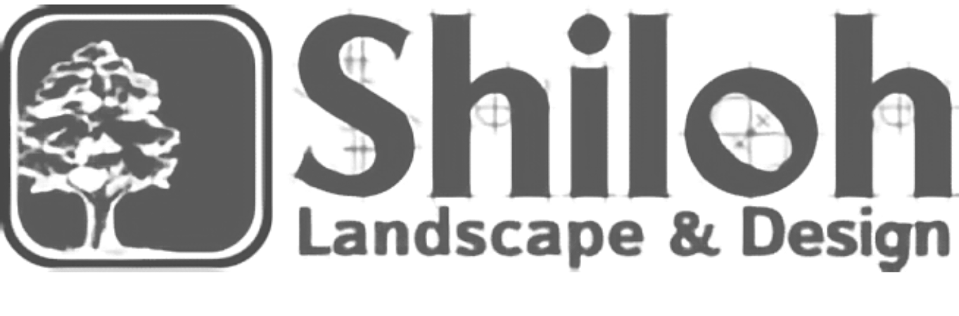 bw-yt.shilohlogo