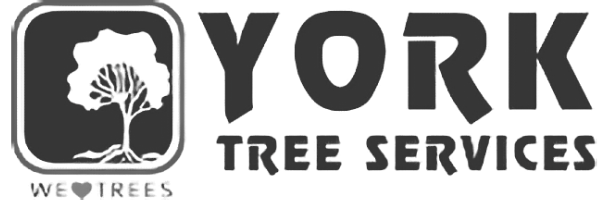 bw-yt.yorklogo_NEW